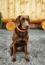 Load image into Gallery viewer, Orange Glow