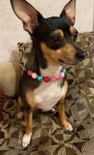 Load image into Gallery viewer, Ali’s Valley