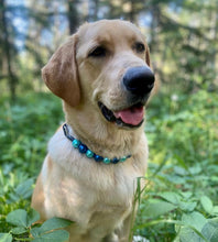 Load image into Gallery viewer, Blue Peacock