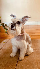 Load image into Gallery viewer, Princess In Pink