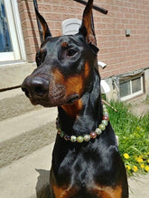 Load image into Gallery viewer, Carefree Cain