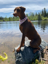 Load image into Gallery viewer, Strawberry Milk