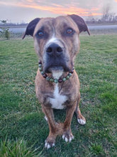 Load image into Gallery viewer, Tigers Trail