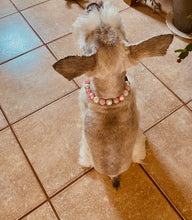 Load image into Gallery viewer, Princess In Pink