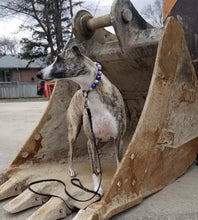 Load image into Gallery viewer, Mermaids