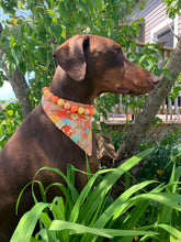 Load image into Gallery viewer, Malibu Sunset