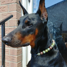 Load image into Gallery viewer, Carefree Cain