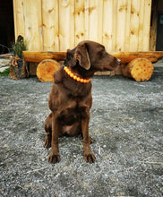 Load image into Gallery viewer, Orange Glow