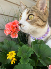 Load image into Gallery viewer, Lavender Kiss