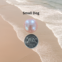 Load image into Gallery viewer, Chiffon Pearl