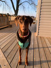 Load image into Gallery viewer, Peachy Jade