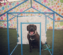 Load image into Gallery viewer, Minnows Margarita