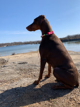 Load image into Gallery viewer, Peachy Jade