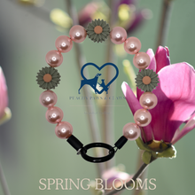 Load image into Gallery viewer, Spring Blooms