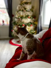 Load image into Gallery viewer, Disco Ball